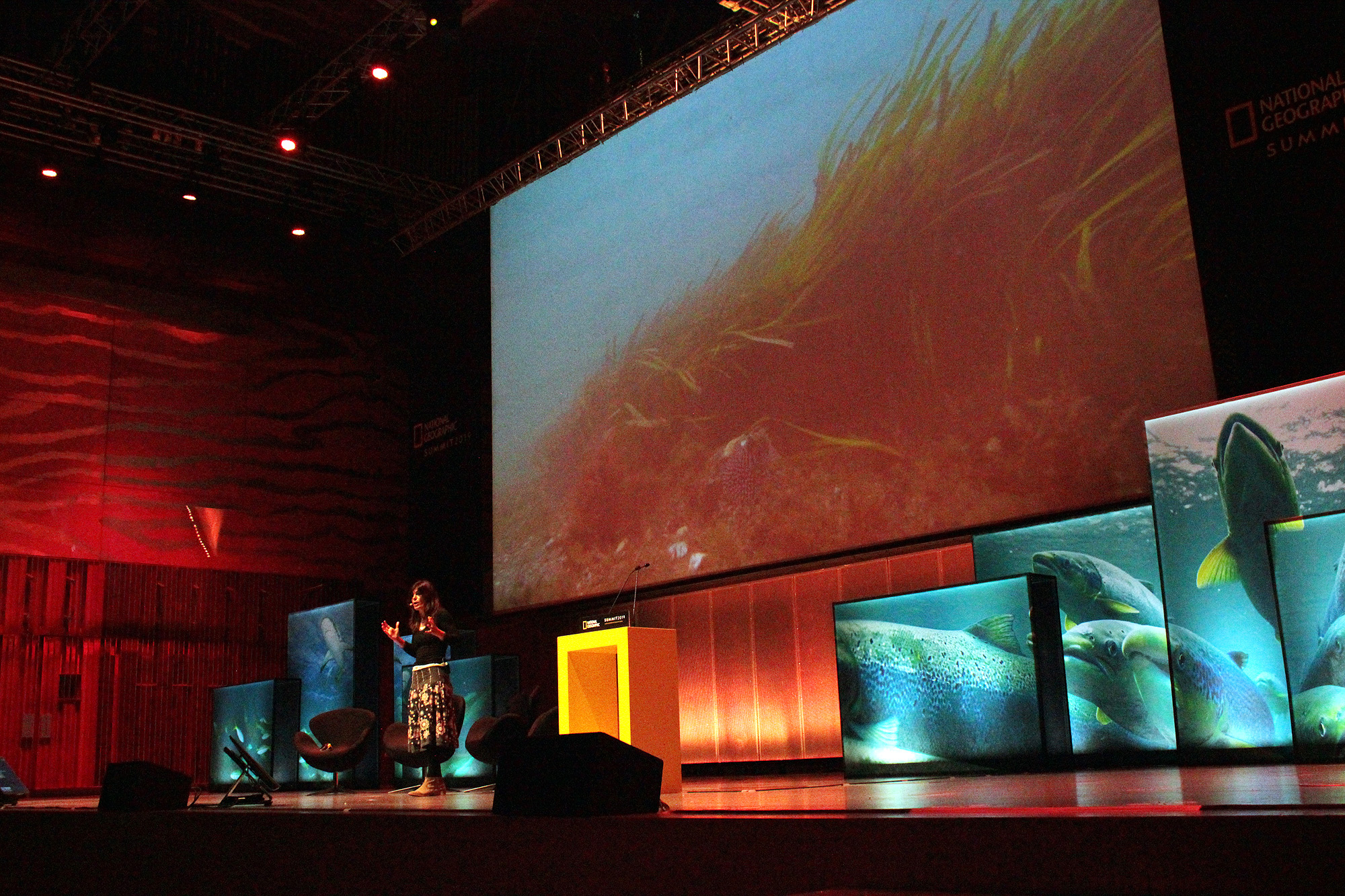 Raquel Gaspar falou sobre pradarias marinhas na National Geographic Summit.